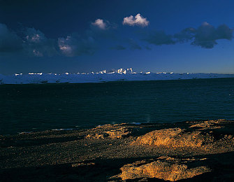 oppo免费版3.0.3：极速都市新版上线，真实物理引擎与霓虹赛道重塑移动竞速体验-2