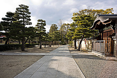 日本aⅴ：霓虹街影，极速狂飙的改装风云录