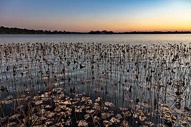 东北大坑乱欲：冰封废土之上，生存与竞速的终极抉择-2