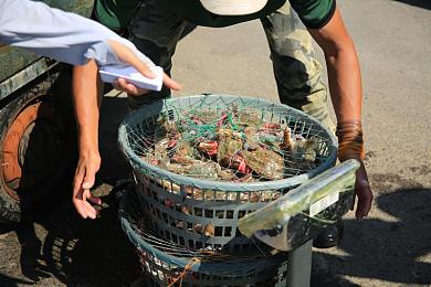 二次元本子：极速幻想车库物语，打造你的动漫赛车收藏图鉴-2