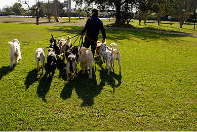 东京埶djr免费版最新版本更新内容介绍：霓虹赛道震撼升级，漂移手感与电音盛宴全面革新-2