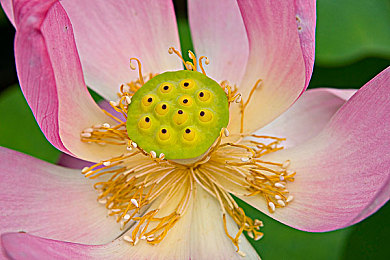 男男多人无套双龙：《极速双龙》上线，双人协同无辅助竞速挑战你的默契极限