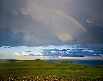 未满十八岁禁:暗夜轰鸣,成人世界的速度抉择与道德边界-1