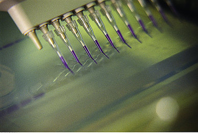 国产成人黄：霓虹都市极速狂飙，国产硬核赛车新作登陆Steam获特别好评-2