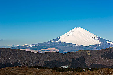 男生和女生上床软件：意识共鸣，双人神经同步解谜之旅