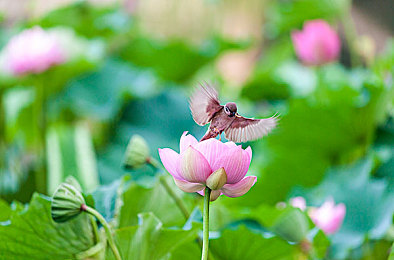 911黑料：雨夜失控，虚拟跑车隐藏的物理谜题