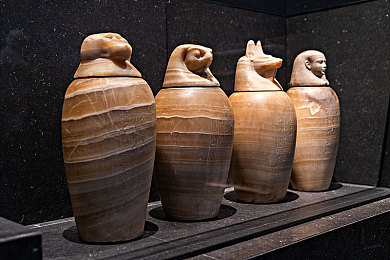 黄色十八大软件：复古像素赛车新作上线，十八辆独特战车开启极速狂飙-2