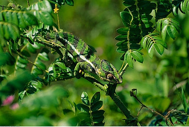 妈妈小孩小马拉大车：单亲母亲为爱出征，家用旧车竞速逆袭，温情与挑战并存的拉力之旅-2