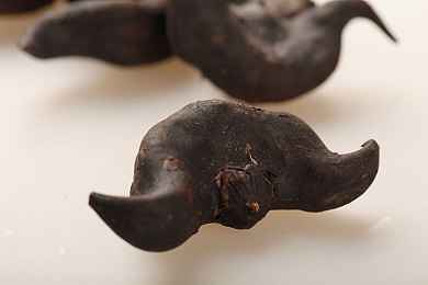 机对机的应用大全下载2025：极限竞速新纪元，人机协同决胜未来赛道-2