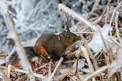 女高中体罚室脱裤子打屁股：极速赛道严苛试炼，独特反馈机制重塑驾驶记忆-2