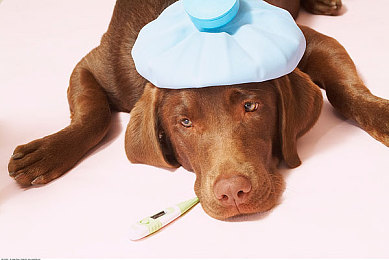 韩一区二区三区四区:竞速游戏段位进阶全解析,从新手到大师的实战攻略与深度评论-1