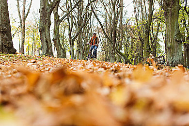 黄版网站下载3.0.3免费下载安装大全：风驰电掣于无垠天地，地平线终极竞速自由之旅-3