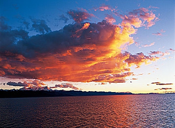 狼人色综合网：暗夜疾驰身份竞速上线，赛车与身份推理引爆玩家热潮