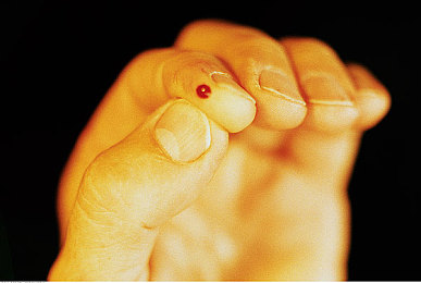 扑克牌又痛又叫：卡牌策略驾驭硬核赛车，创新融合引爆驾驶新体验-2