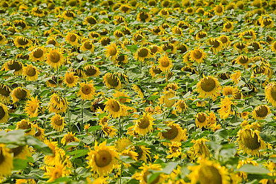 两个人在一起打扑克：双人默契竞速，扑克组合决胜极速赛道-2