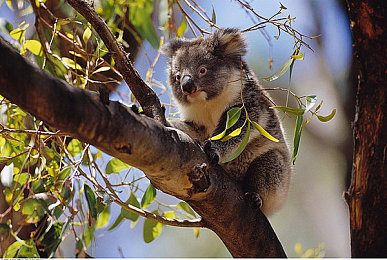 99re6热视频这里只精品:赛车游戏视觉盛宴,极致画面与沉浸体验全解析-2