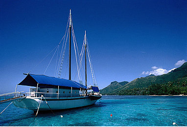 公让我高潮了好几次：极限竞速地平线5，墨西哥开放世界驾驶体验巅峰