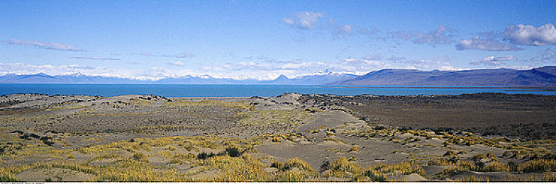 八重神子被丘丘人抓去繁殖后代的视频社会百态：狐影雷樱巧破敌阵，稻妻巫女战术全解析-2