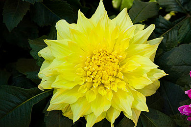 受虐狂奴役支配性狂虐：硬核赛车模拟新作上线，征服变态物理引擎的终极试炼今日开启-2