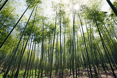 国产亚洲Av：极速光影驰骋东方都市，自定义座驾征服真实赛道-2