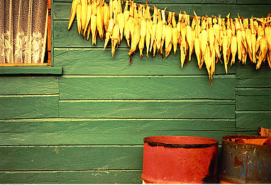 视一乱一交一做一爱：极速狂飙中与天地共舞的机械诗篇-2