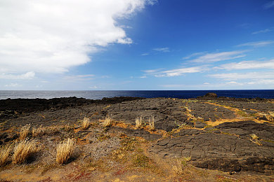 日批发软件免费下载：汽车贸易新纪元，改装竞速打造你的专属帝国