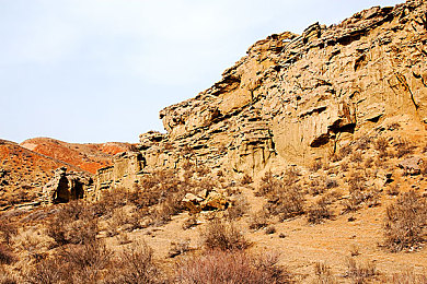 抖音9·1免费观看:墨西哥地平线,虚拟狂飙与汽车文化的数字盛宴-1