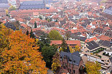 APP福利导航：墨西哥狂飙终极指南，快速获取稀有车辆与赛季奖励-3