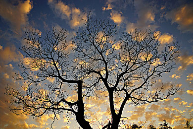 吸奶头直播:极速奶糖上线,直播互动赛道引爆竞速娱乐新玩法-2