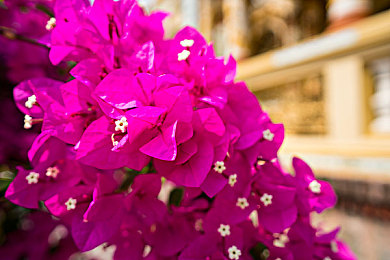 404麻豆禁用软件：赛车游戏违规模组风波，官方封禁捍卫公平竞技环境-2