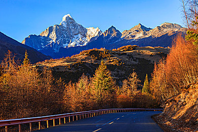 成人手游18+：街头传奇，驾驭真实，智胜极速人生-2