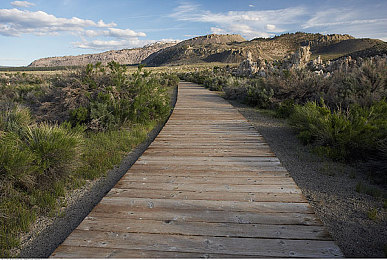 男男Gay囗吞精白袜育生：双心共驭，极速同频，灵魂协奏的竞速诗篇