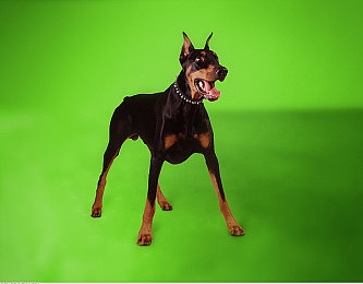 糟老头至尊版v2.5.1官网下载：复古像素风驾驶改装，硬核老头战车生存挑战