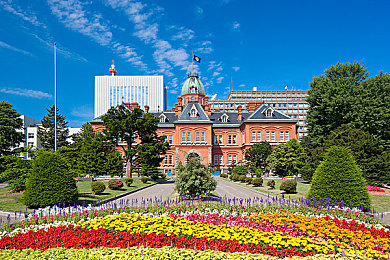婷婷丁香花：在芬兰赛道的白桦林间，邂逅速度之外的诗意宁静-2