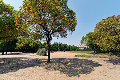 榴莲视频污黄：极速直播赛道，征服泥泞天气与观众互动挑战