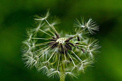 每日大赛抖音风弹力摇：赛车竞技新体验，魔性物理欢乐多，高手攻略助登顶