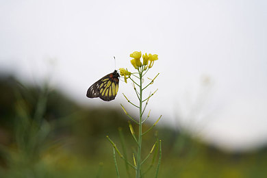 在床上打扑克叫出声：极速扑克赛道对决，体验卡牌竞速与心理博弈的激情之旅-3