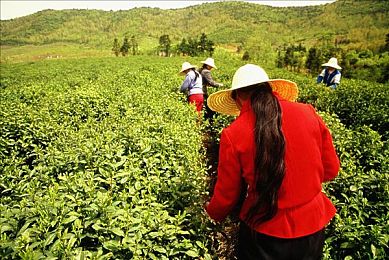 十大禁止下载免费：暗夜引擎，非法竞速的隐秘生存法则-2