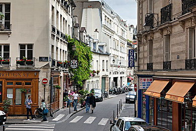 向日葵视频APP站长统计：地平线5数据奥秘公开，专业车手教你用统计提升驾驶技术-3