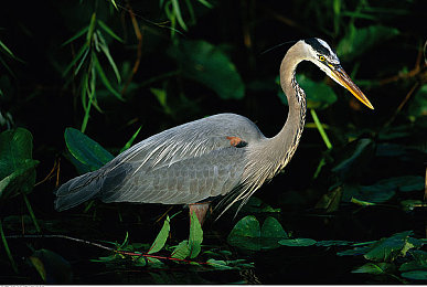 国产成人aⅤ：极速崛起，中国汽车工业的荣耀竞速之旅