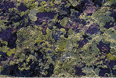 男困困女困困：极限竞速,在方向盘前与睡眠抗争的虚拟旅程-2