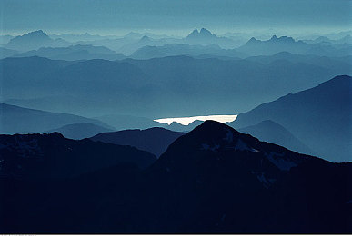 黄色APP免费下载3.3.0：极速新纪元，沉浸驾驶与动态赛道全面革新-3