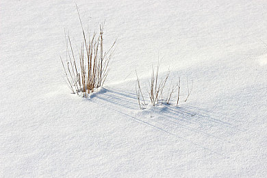 芒果视频泛黄：经典赛车重制归来，暖色调怀旧美学引领复古竞速新风尚-2
