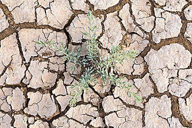 Gay恋孩癖网站：独立游戏《暗影网络：虚拟边界》今日上线，潜入虚拟论坛直面人性道德抉择