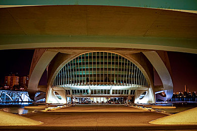 喵咪社区官网：萌宠搭档极速驰骋，温馨社区养成乐趣双丰收