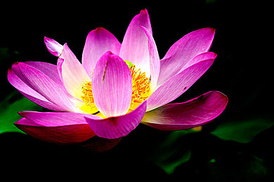 福建大菠萝2024官方：暗黑竞速新作疾驰福建，开放世界赛道融合东方美学与恶魔改装-2