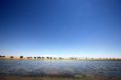 3.3.3免费华为版破解大全免费下载在线：疾驰雨林，地平线上的华为竞速新章-2