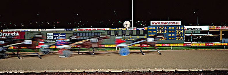 女人和猪交配：《农场狂飙》全新生物融合系统上线，争议性组合引爆玩家创意狂潮