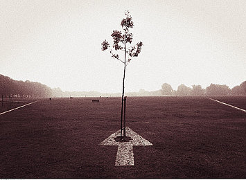 打补克不盖被子：硬核驾驶新挑战，极限竞速地平线5全辅助关闭玩法解析-1