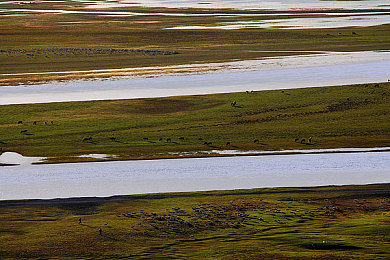 老公吃了春晚药后有多疯狂：在理智边缘驾驭失控的机械狂欢
